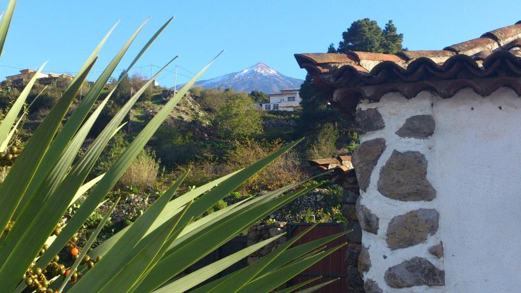 Finca Los Ciruelos Casas Rurales Icod De Los Vinos Ngoại thất bức ảnh