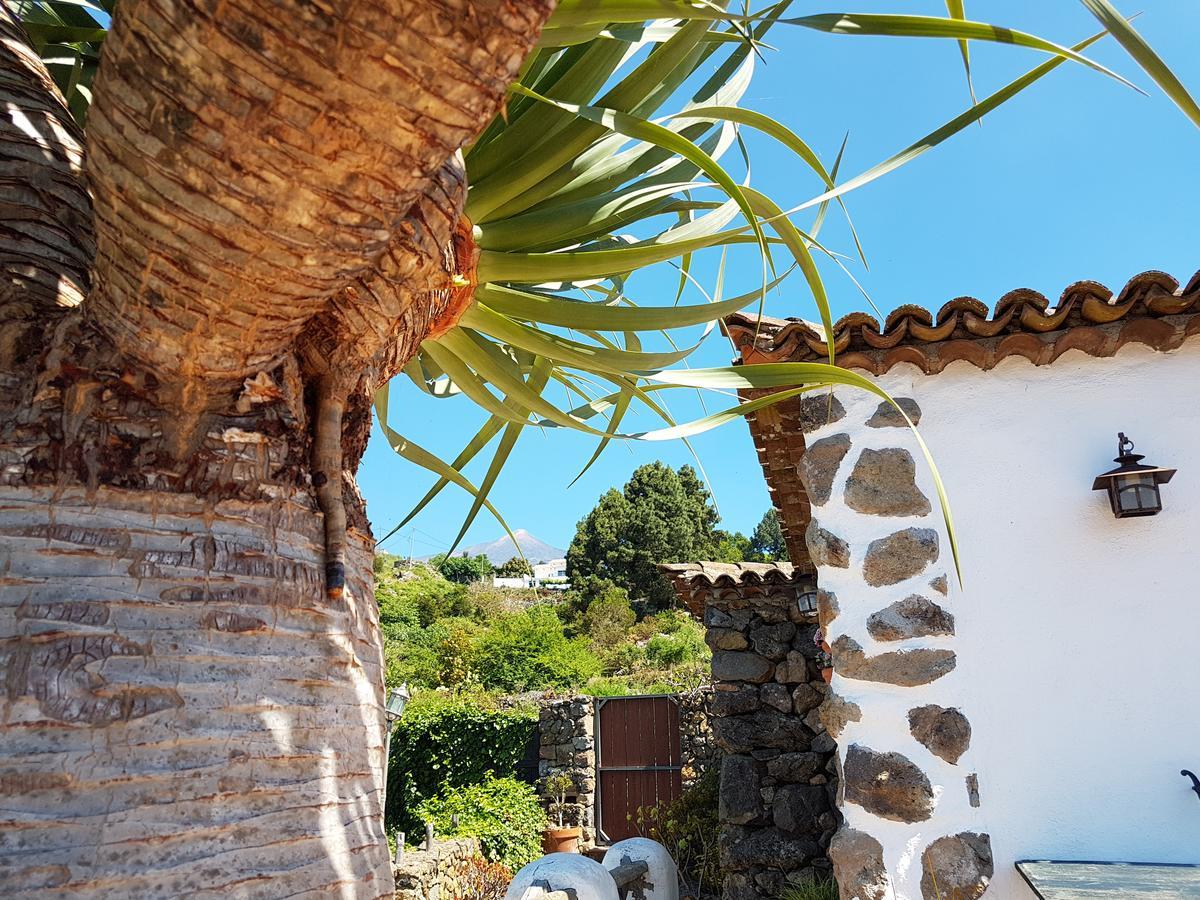 Finca Los Ciruelos Casas Rurales Icod De Los Vinos Ngoại thất bức ảnh